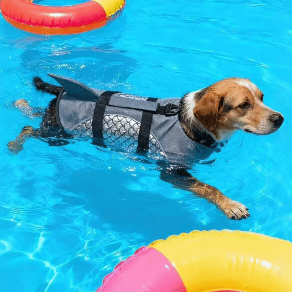 Life Jacket Buoyancy - Sterk drijfvermogen Hondenreddingsvest Glanzende schubben Haaienvin-stijl