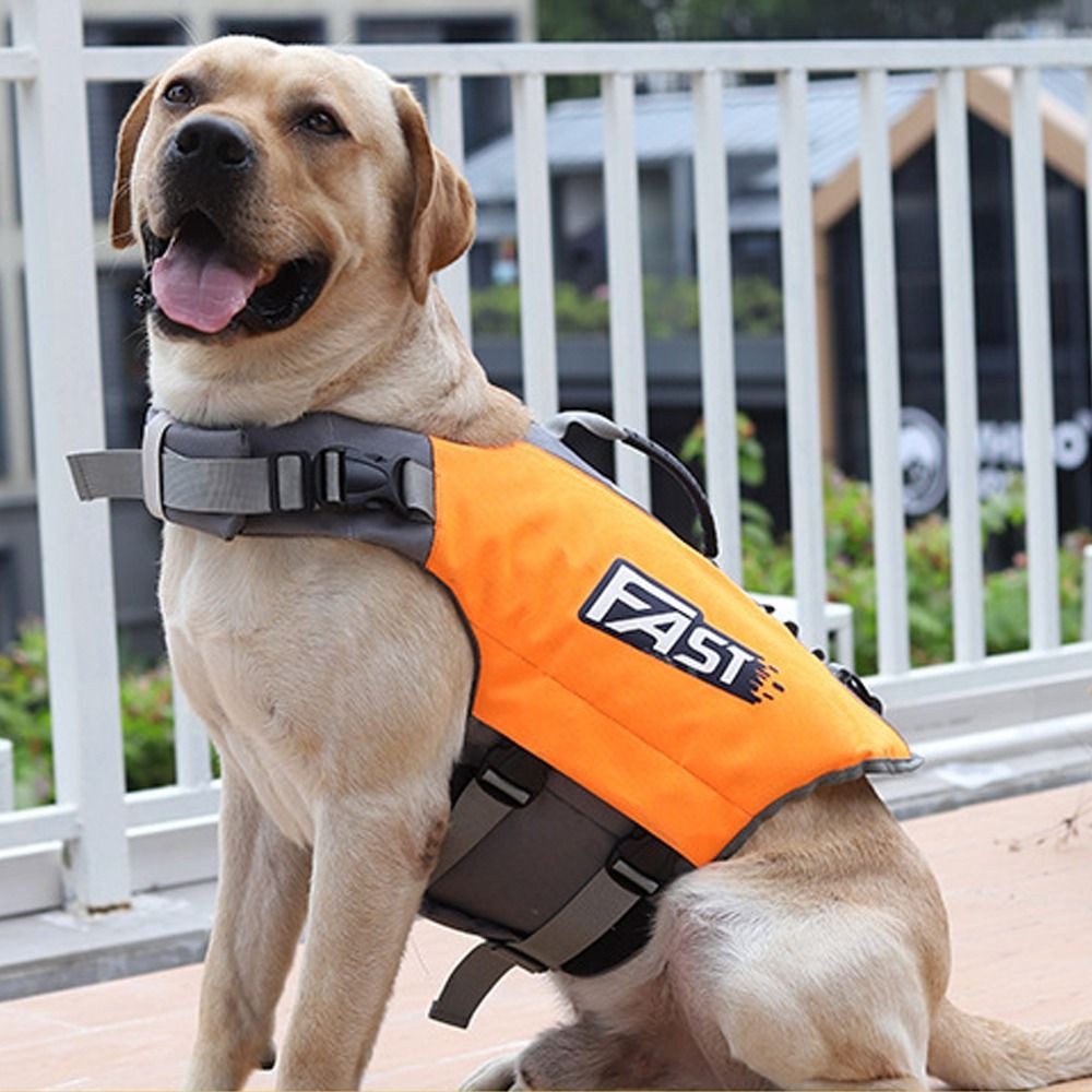 Verstelbaar zwemvest voor huis - Life Jacket Buoyancy recensie en prijs