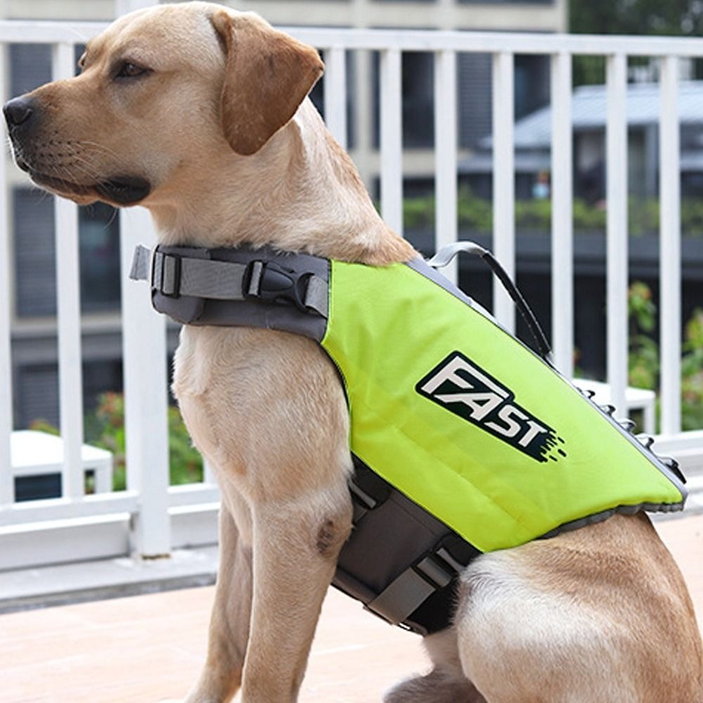 Verstelbaar zwemvest voor huis - Life Jacket Buoyancy recensie en prijs