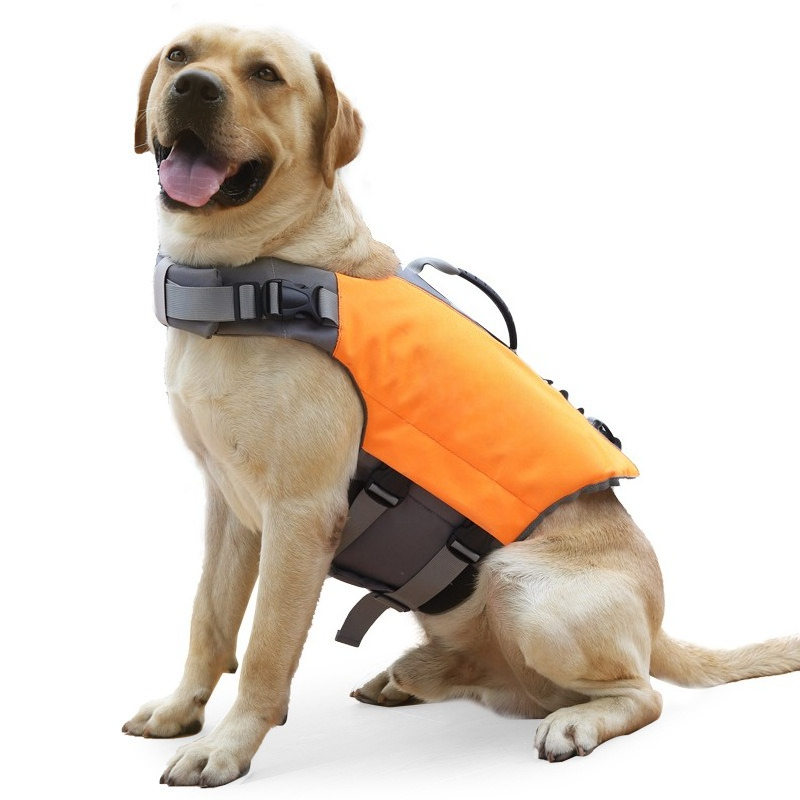 Hondenzwemvest Drijvend veilig - Life Jacket Buoyancy recensie en prijs